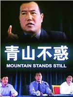 青山不惑