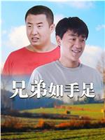 兄弟如手足在线观看