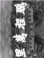 十八罗汉收大鹏在线观看和下载