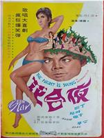 夜合花在线观看