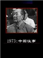 1973：中国往事在线观看