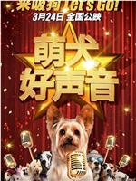 萌犬好声音在线观看