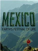 墨西哥：地球生命的狂欢在线观看