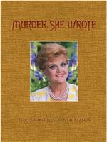 女作家与谋杀案 第七季在线观看