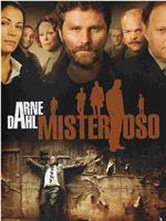 Arne Dahl: Misterioso在线观看