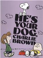 你的狗，查理·布朗在线观看