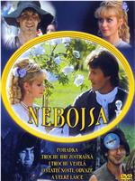 Nebojsa