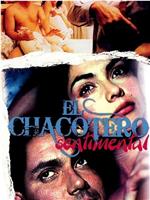 El Chacotero sentimental: La pelicula