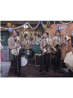 Weezer: Buddy Holly观看
