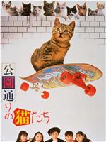 公园路的猫们在线观看