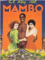 El rey del mambo观看