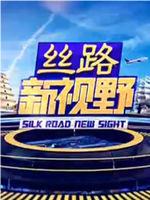 丝路新视野在线观看