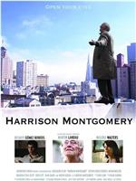 Harrison Montgomery观看