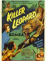 Killer Leopard