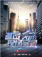 巡逻现场实录2018在线观看