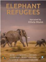 Elephant Refugees在线观看