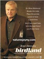 Birdland