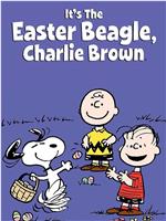 It's the Easter Beagle, Charlie Brown在线观看