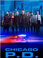 芝加哥警署 第七季在线观看