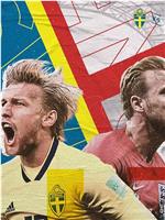 2018世界杯1/4决赛瑞典VS英格兰在线观看