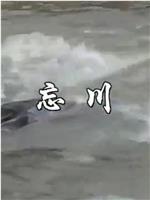 忘川在线观看