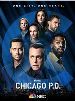 芝加哥警署 第九季在线观看
