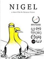 Nigel观看