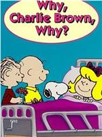 为什么，查理·布朗，为什么？在线观看