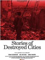 圣加尔：被摧毁的城市在线观看