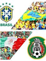 2014世界杯小组赛巴西VS墨西哥在线观看