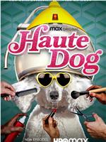 名犬观看
