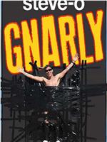 Steve-O: Gnarly