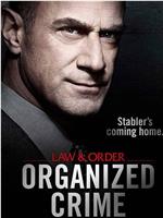 法律与秩序：组织犯罪 第一季在线观看