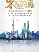 不动摇——庆祝浦东开发开放30周年