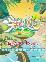 完美的夏天 第二季在线观看