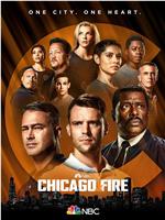 芝加哥烈焰 第十季在线观看