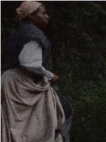 Harriet Tubman: Visions of Freedom观看