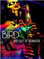 Bird: Not Out Of Nowhere