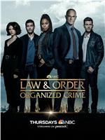 法律与秩序：组织犯罪 第三季在线观看