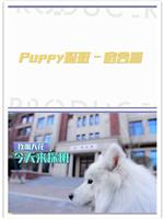 偶像练习生之PUPPY探班在线观看