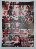 ONE OK ROCK 2016 SPECIAL LIVE IN NAGISAEN在线观看