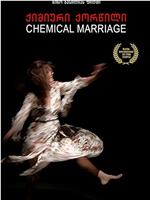 化学婚姻在线观看