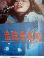 追踪桑塔纳观看