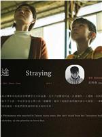 迷途在线观看