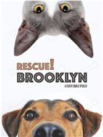 Rescue! Brooklyn
