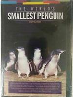 最小的企鹅