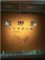 国宝档案：从东晋到北魏观看