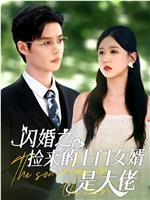 闪婚之捡来的上门女婿是大佬在线观看