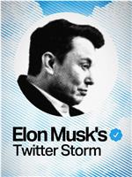 Elon Musk's Twitter Storm