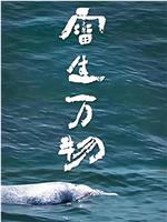 雷生万物